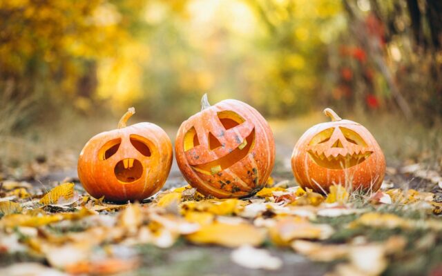 Halloween a Bologna: il Parco delle Zucche, il Percorso horror e la Zombie walk